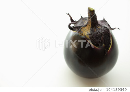 賀茂なす 京野菜 賀茂なす 京野菜 104189349