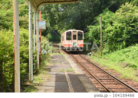 岐阜明知鉄道の東野駅を走る列車 104189466
