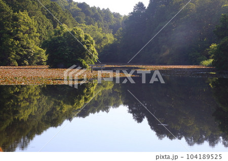 名坂大池寺自然公園・弁天池の沈み鳥居 【滋賀県甲賀市水口町】 名坂大池寺自然公園・弁天池の沈み鳥居 【滋賀県甲賀市水口町】 104189525