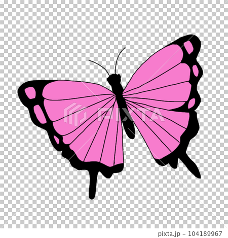 Butterfly (pink) 104189967