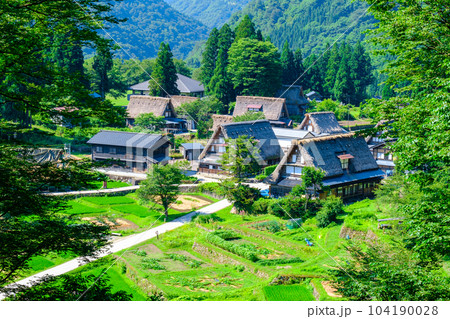五箇山・相倉合掌造り集落（夏） 104190028
