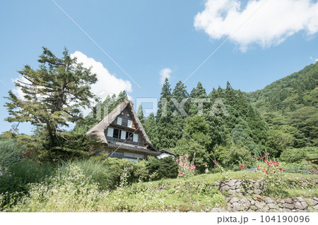 五箇山・相倉合掌造り集落（夏） 104190096