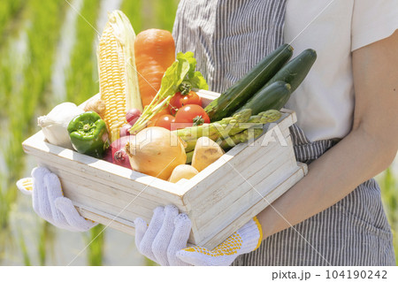 野菜の詰め合わせを持つ女性 104190242