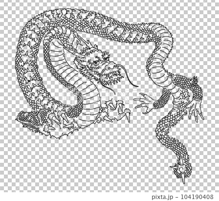 龍の全身を描いた白黒の線画のイラスト素材 [104190408] - PIXTA