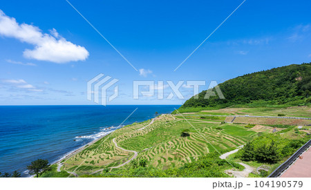 稲が生長して緑が美しい田植え後の白米千枚田と澄んだ青空と海｜能登イメージ｜石川県輪島市 104190579