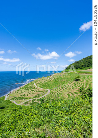 稲が生長して緑が美しい田植え後の白米千枚田と澄んだ青空と海|能登イメージ|石川県輪島市 稲が生長して緑が美しい田植え後の白米千枚田と澄んだ青空と海|能登イメージ|石川県輪島市 104190586