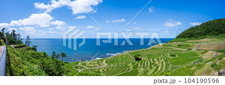 パノラマ｜稲が生長して緑が美しい田植え後の白米千枚田と澄んだ青空と海｜能登イメージ｜石川県輪島市 104190596