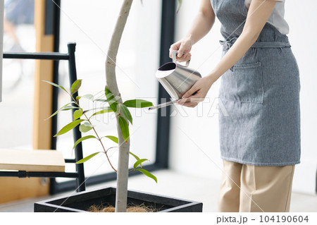 観葉植物 水やり 観葉植物 水やり 104190604