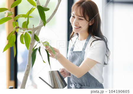 観葉植物に水をあげる女性 観葉植物に水をあげる女性 104190605