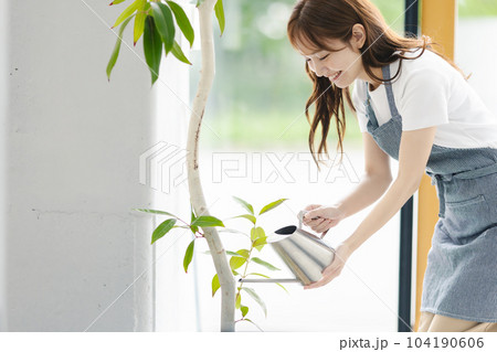 観葉植物　水やり 104190606