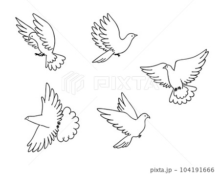 モノクローム手描きの小鳥、鳩のイラストセット モノクローム手描きの小鳥、鳩のイラストセット 104191666