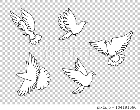 モノクローム手描きの小鳥、鳩のイラストセット モノクローム手描きの小鳥、鳩のイラストセット 104191666