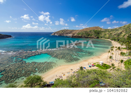 ハワイの絶景【ハナウマ湾のサンゴ礁】 104192082