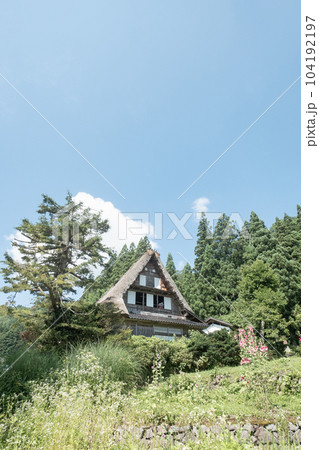 五箇山・相倉合掌造り集落（夏） 104192197