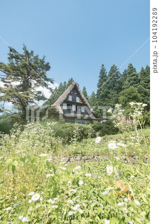 五箇山・相倉合掌造り集落(夏) 五箇山・相倉合掌造り集落(夏) 104192289