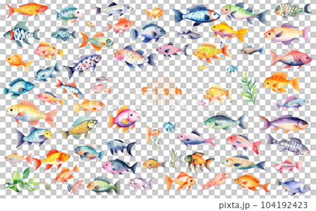 かわいい魚たちのセット 104192423