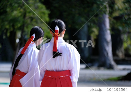 神社の境内で遠くをみる二人の巫女さんの後ろ姿 104192564
