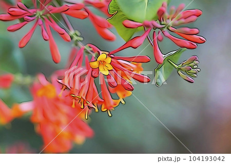 パステル調　”ツキヌキニンドウ”　イラストイメージ 104193042