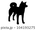立派な立ち姿の秋田犬のシルエット 104193275