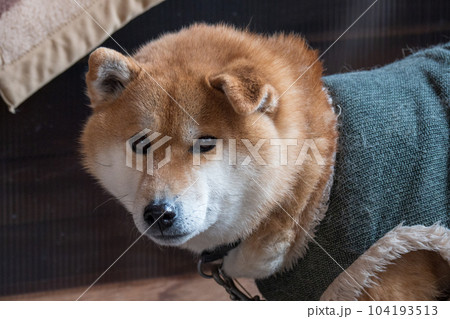 歩いていく秘境のいで湯、奥鬼怒温泉郷 104193513