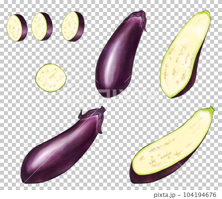 Set of eggplant in analog watercolor style 104194676
