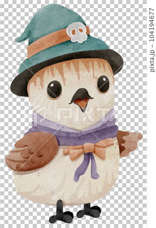 ghost bird witch bird 104194677