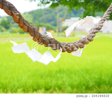 6月 梅雨の晴れ間の房総田園の景色 6月 梅雨の晴れ間の房総田園の景色 104194810