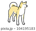 立派な立ち姿の秋田犬 104195183
