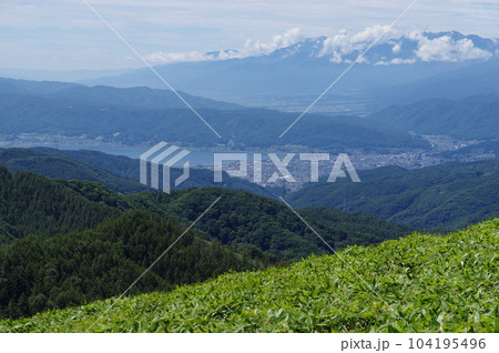 ビーナスライン 三峰山からの諏訪湖方向の眺め ビーナスライン 三峰山からの諏訪湖方向の眺め 104195496