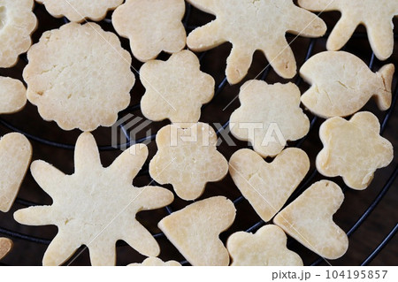 色んな形の米粉の型抜きクッキー　グルテンフリーのお菓子 104195857