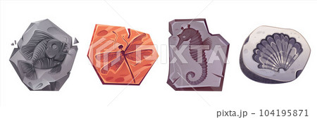 Fossil animal archaeology stone vector icon set 104195871
