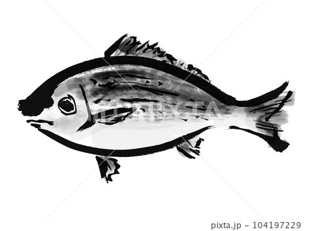 イサキの手描き和風イラスト和風素材 104197229