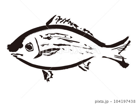 イサキの手描き和風イラスト和風素材 イサキの手描き和風イラスト和風素材 104197438