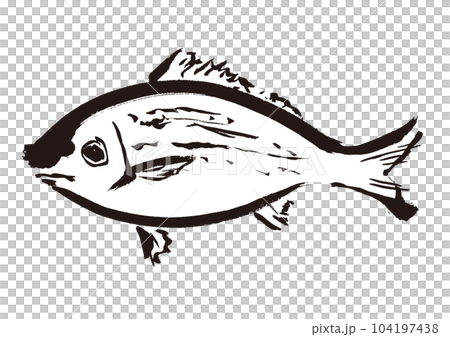 イサキの手描き和風イラスト和風素材 イサキの手描き和風イラスト和風素材 104197438