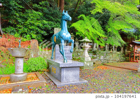 対馬　厳原八幡宮神社 104197641