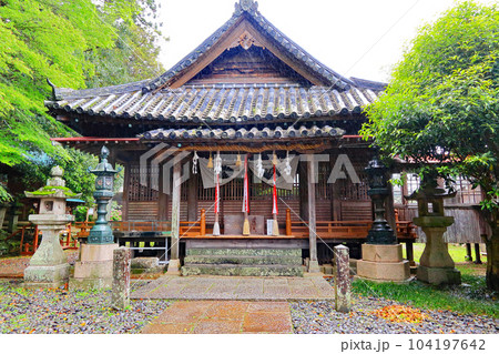 対馬 厳原八幡宮神社 対馬 厳原八幡宮神社 104197642