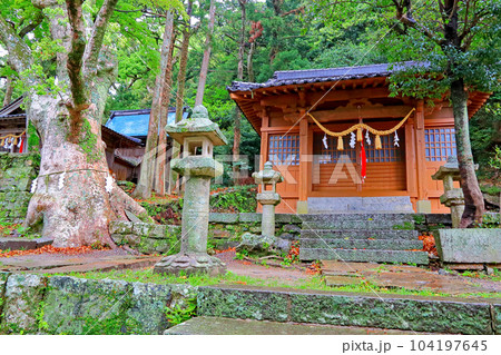 対馬 厳原八幡宮神社 対馬 厳原八幡宮神社 104197645