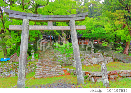 対馬 厳原八幡宮神社 対馬 厳原八幡宮神社 104197653