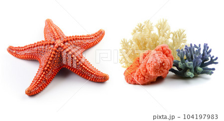 Set with sea creatures, isolated on white background. Collection of ocean inhabitants. Marine life. Undersea, underwater wildlife. Sea star and corals. Generative AI. 104197983