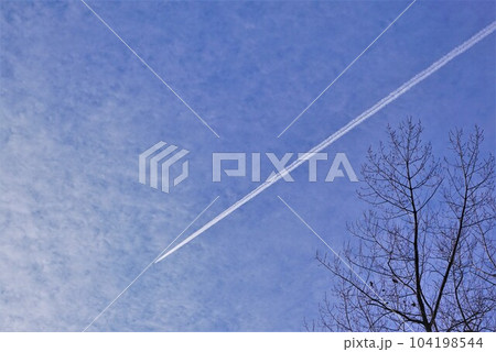 青空と飛行機雲を見上げる 青空と飛行機雲を見上げる 104198544