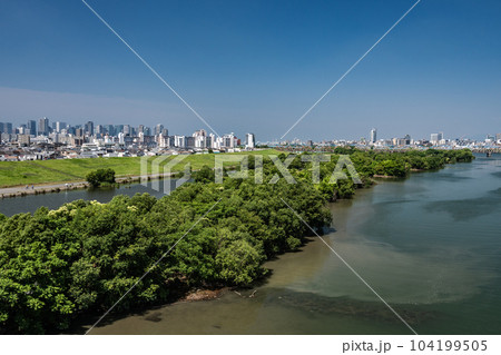 菅原城北大橋から見た淀川風景 104199505