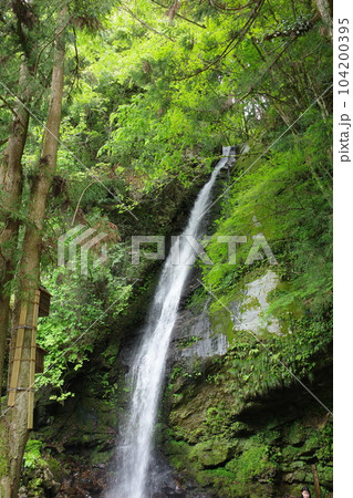 徳島県祖谷にある琵琶の滝 104200395