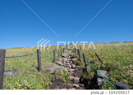 高原ハイキング 霧ヶ峰高原 高原ハイキング 霧ヶ峰高原 104200617