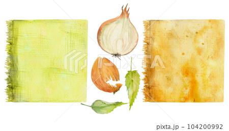 Hand drawn watercolor nettle, onion coloring natural plant dye, materials. Hobby, handmade fabric. Illustration isolated composition, white background. Shop logo, print, website, business card booklet Hand drawn watercolor nettle, onion coloring natural plant dye, materials. Hobby, handmade fabric. Illustration isolated composition, white background. Shop logo, print, website, business card booklet 104200992