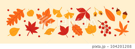 秋の紅葉した葉っぱと木の実のセット 104201208