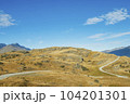 ニュージランドの山道 104201301