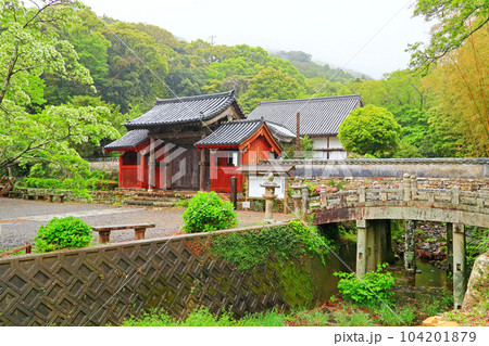 対馬　万松院 104201879