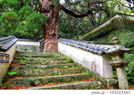 対馬　万松院 104201885