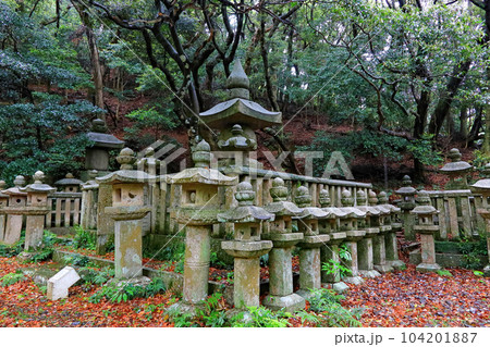 対馬　万松院 104201887