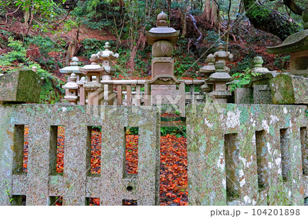 対馬　万松院 104201898